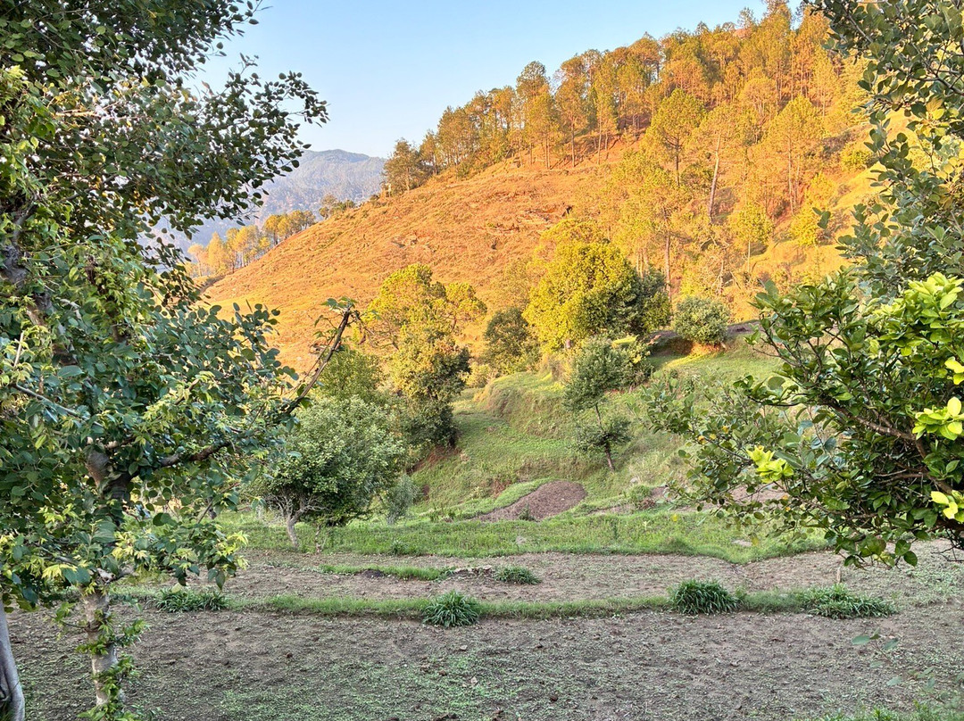 The Kumaon主图