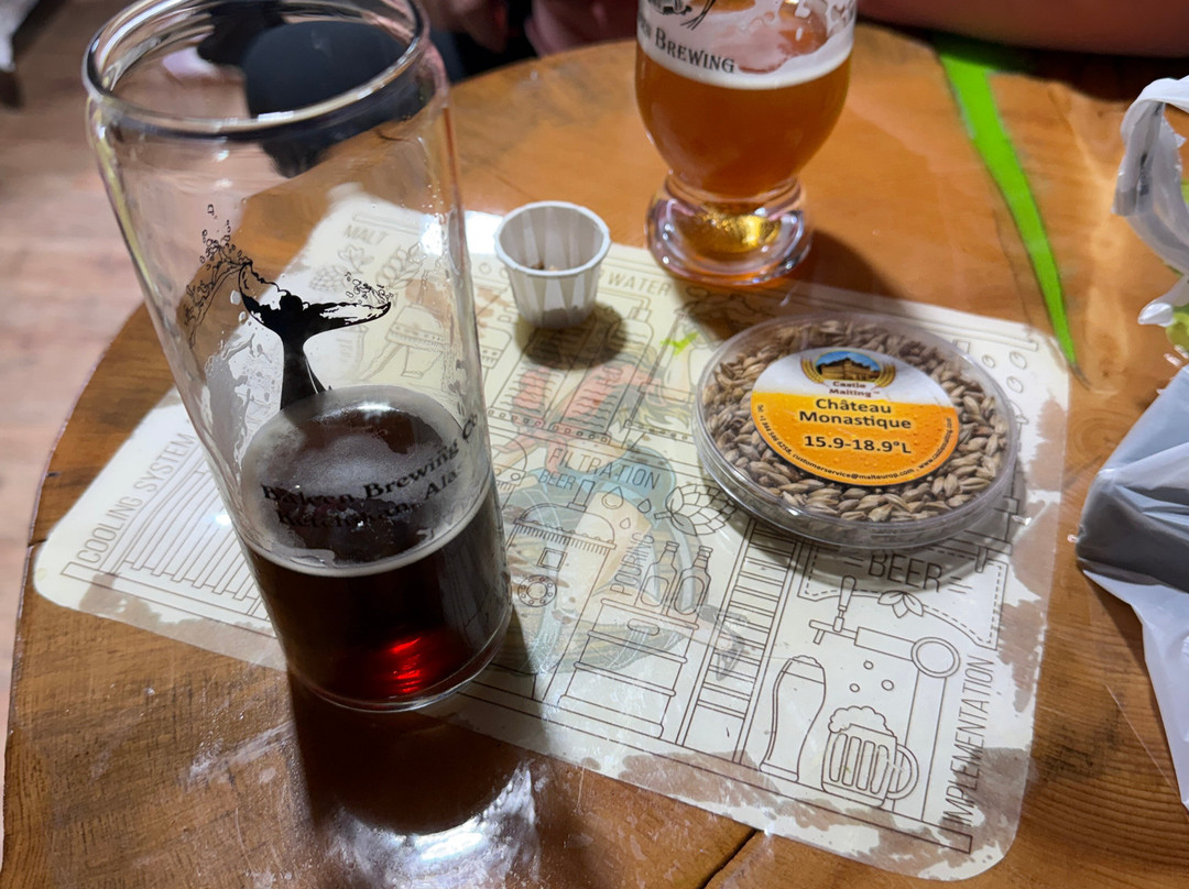 Baleen Brewing Co-凯奇坎必去景点