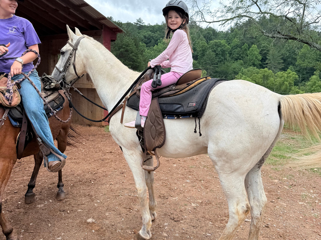 Appalachian Trail Rides-Mineral Bluff必去景点