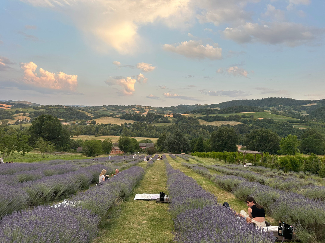 Province of Reggio Emilia旅游景点-Azienda Agricola Valtresinaro