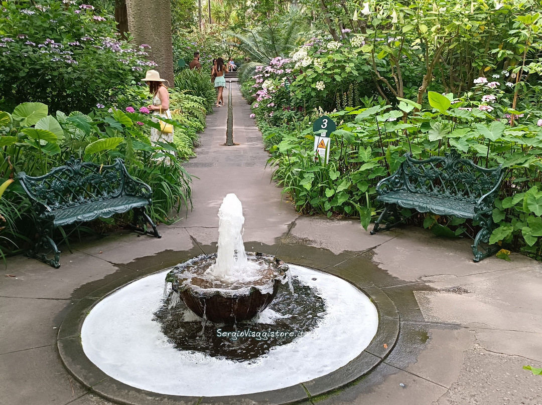Giardini La Mortella-福里奥必去景点