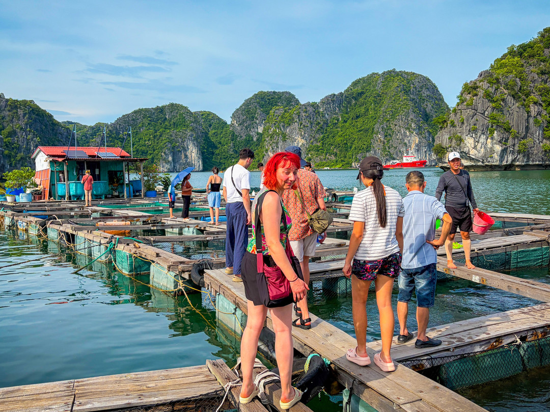 Cat Ba Green Trail Travel-Cat Ba Town必去景点