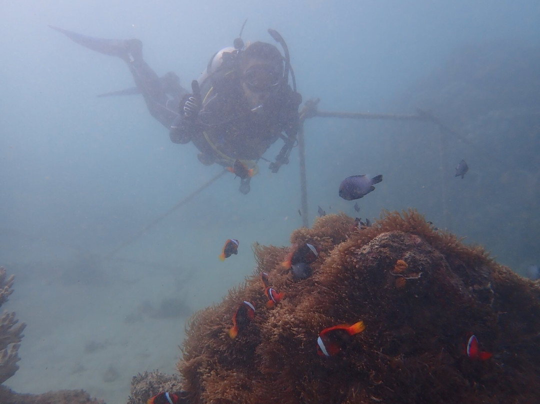 Jellyfish Divers Village-沙努尔必去景点