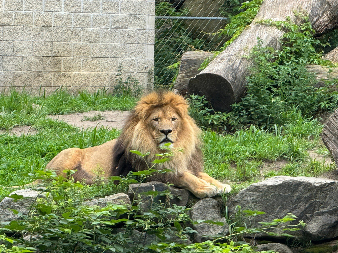 Southwick's Zoo-Mendon必去景点