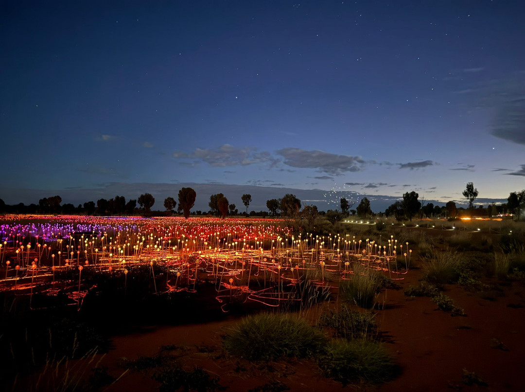 Field of Light-乌鲁鲁-卡塔丘塔国家公园必去景点