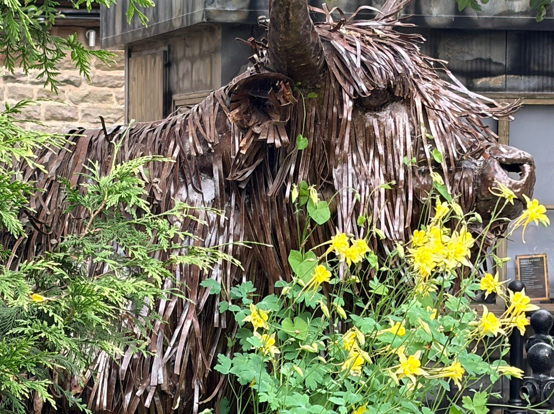 Matlock Farm Park-马特洛克必去景点