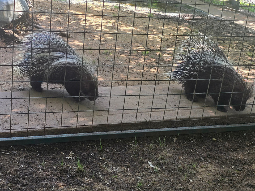 Safari Zoological Park-Caney必去景点