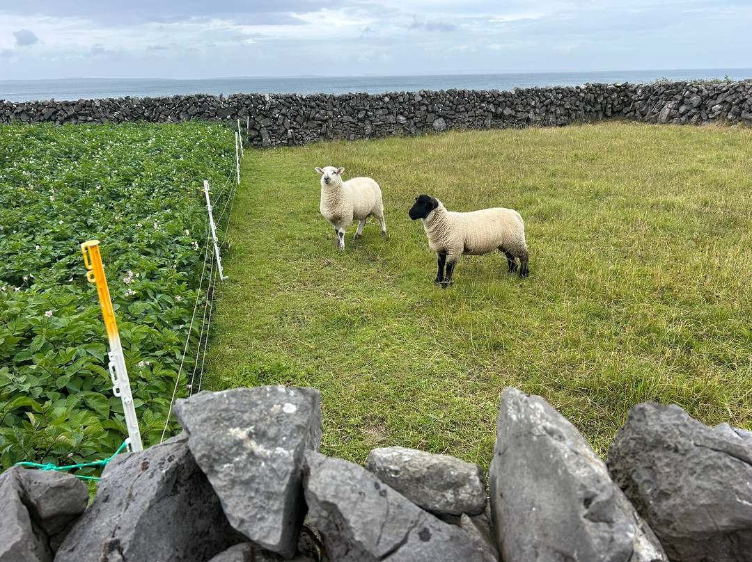 Aran Bike Hire-Inishmore必去景点