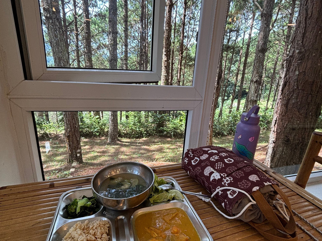 Sivananda Yoga Resort And Training Center-大勒必去景点