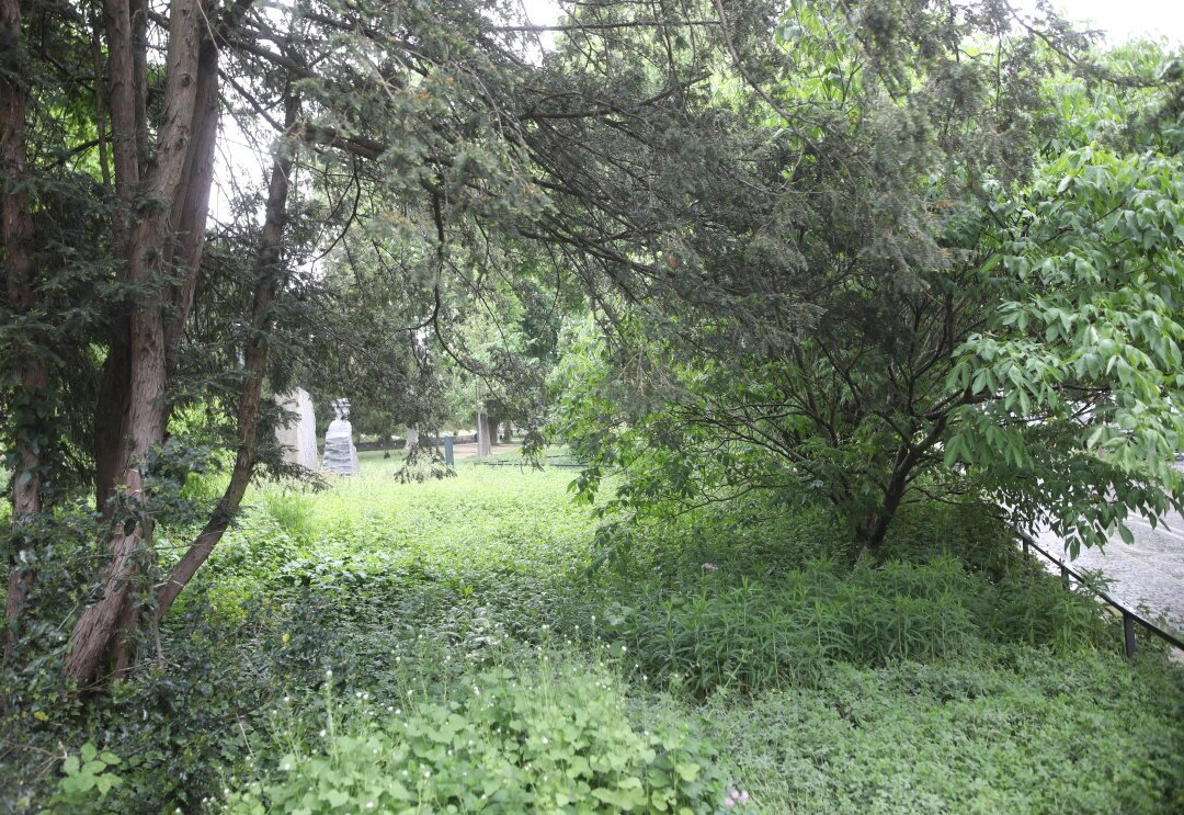 Le Square Steinbach-米卢斯必去景点
