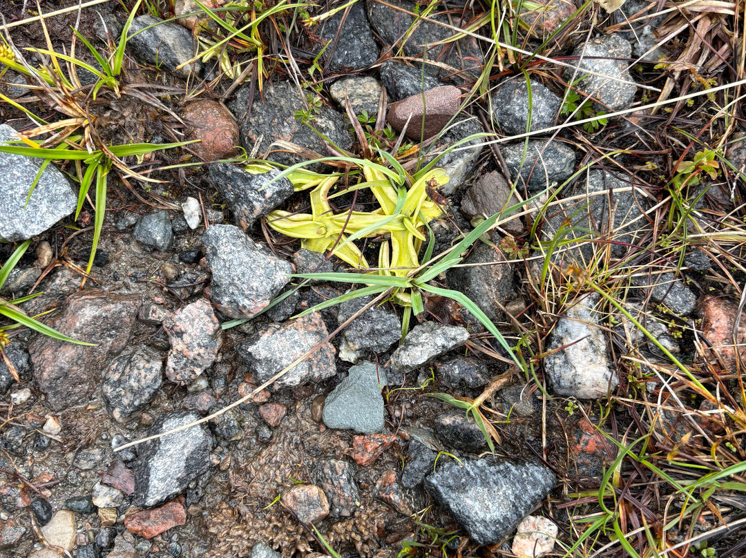 Torridon Outdoors-Torridon必去景点