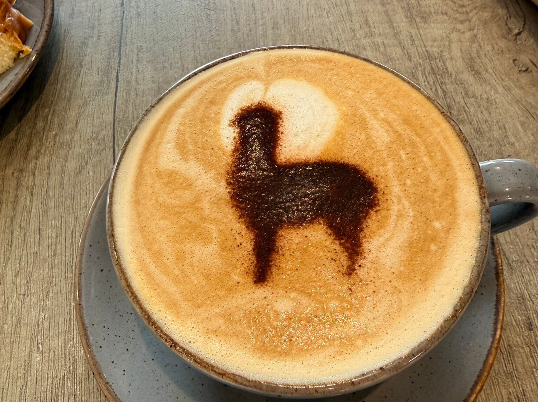 J and J Alpacas-特伦特河畔纽瓦克必去景点