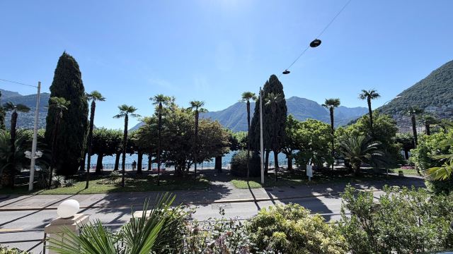 辉煌皇家酒店-旅行者