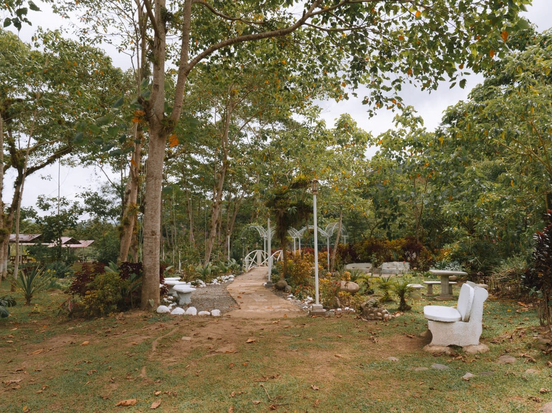 Rio Palomo CT