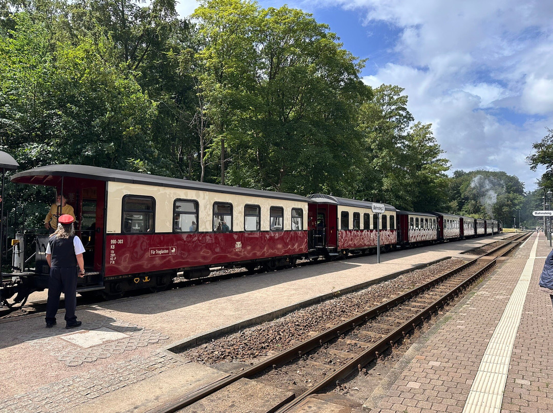 Kuehlungsborn-West Molli Railway Station-Bad Doberan必去景点
