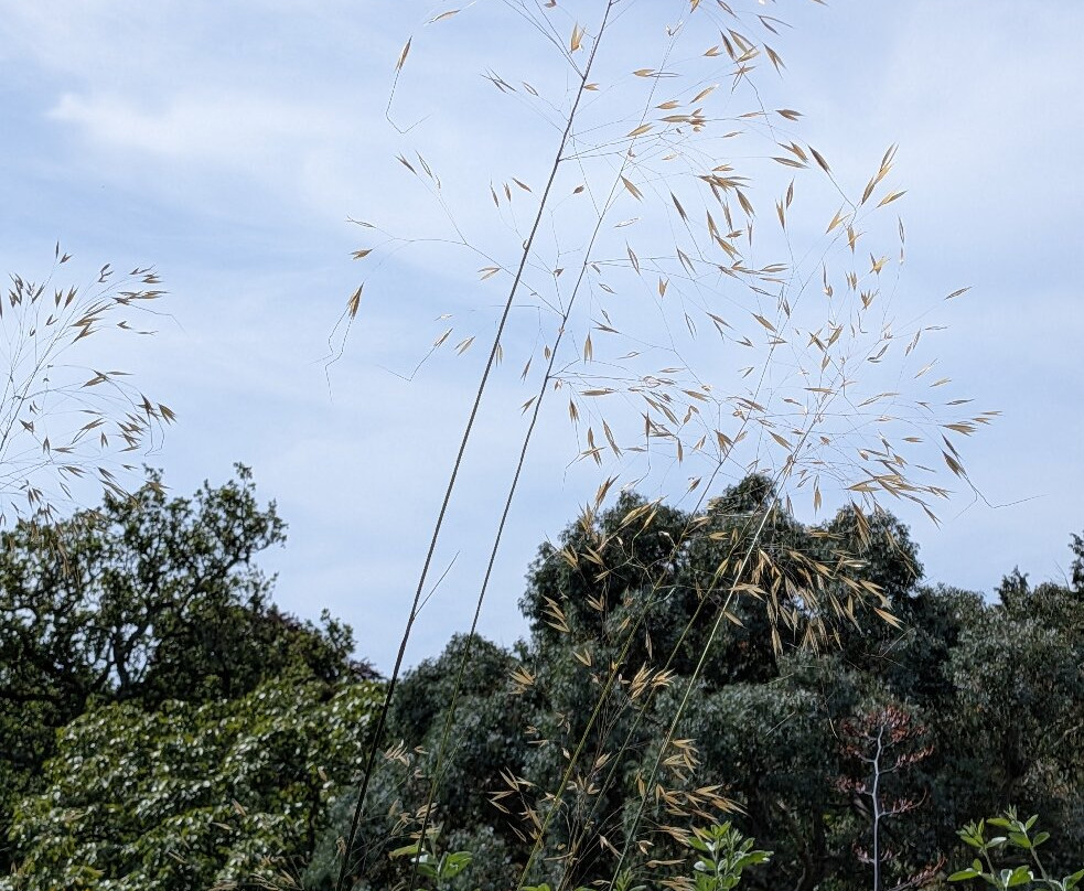 Abbotsbury Subtropical Gardens-Abbotsbury必去景点