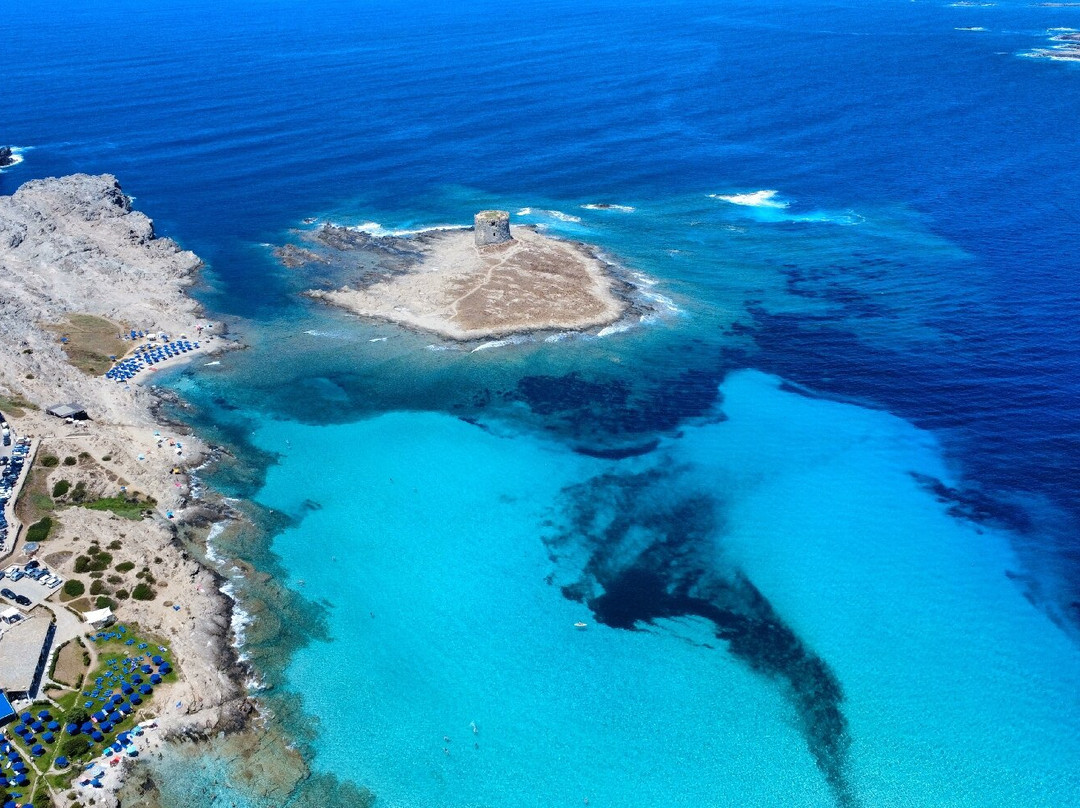 Spiaggia della Pelosetta-斯廷蒂诺必去景点