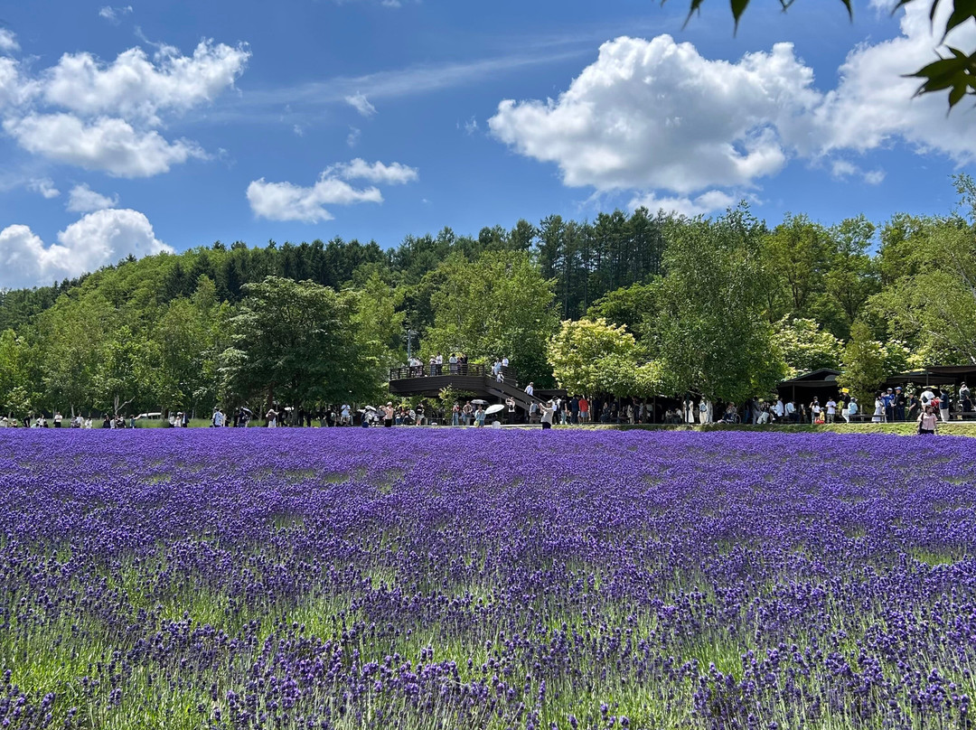 富良野Natulux酒店主图