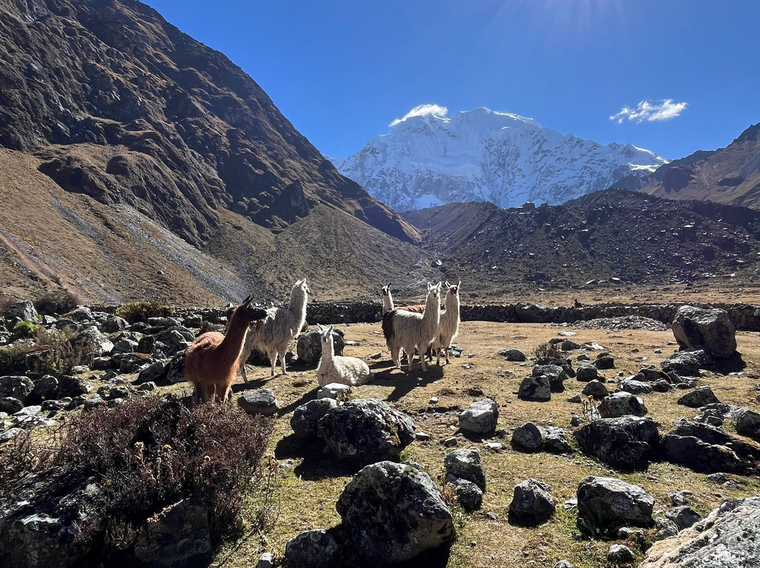 SAM Travel Peru-库斯科必去景点