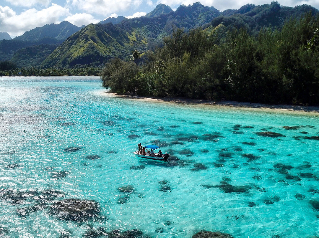 Mermaid Private Boat Tours-莫雷阿岛必去景点