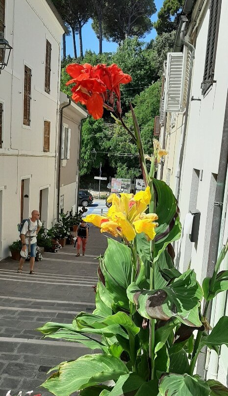 La Costarella-努马纳必去景点