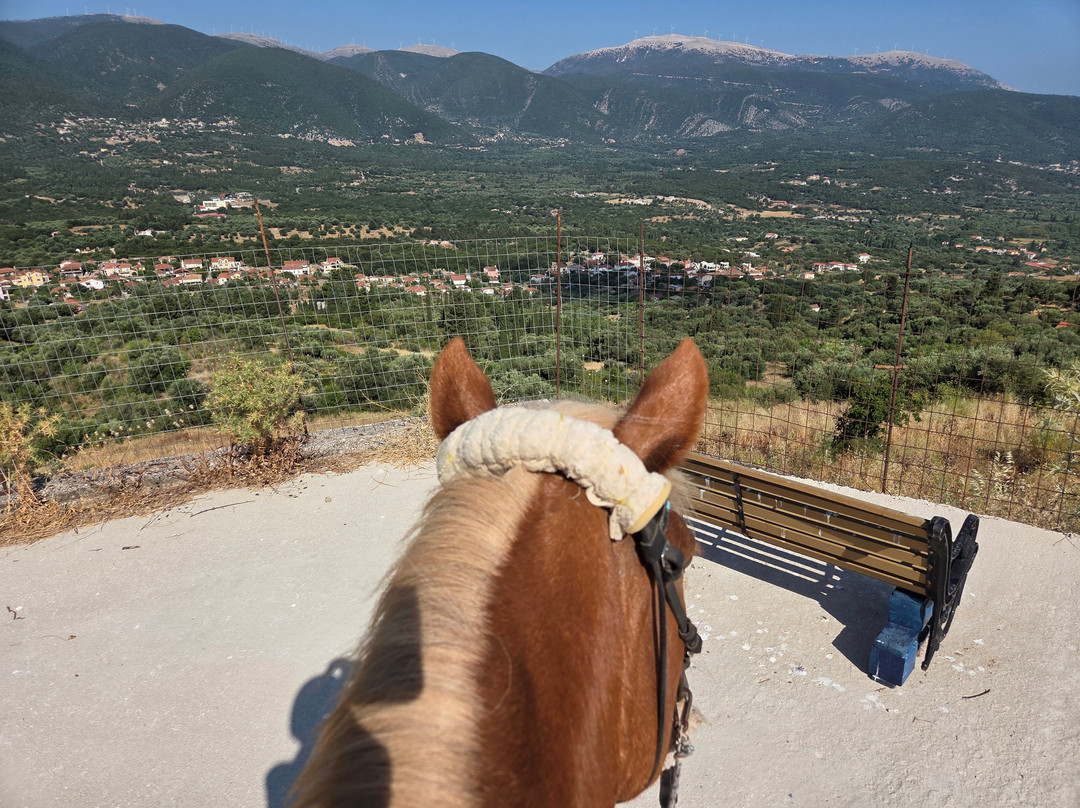 Bavarian Horse Riding Stables-萨米必去景点