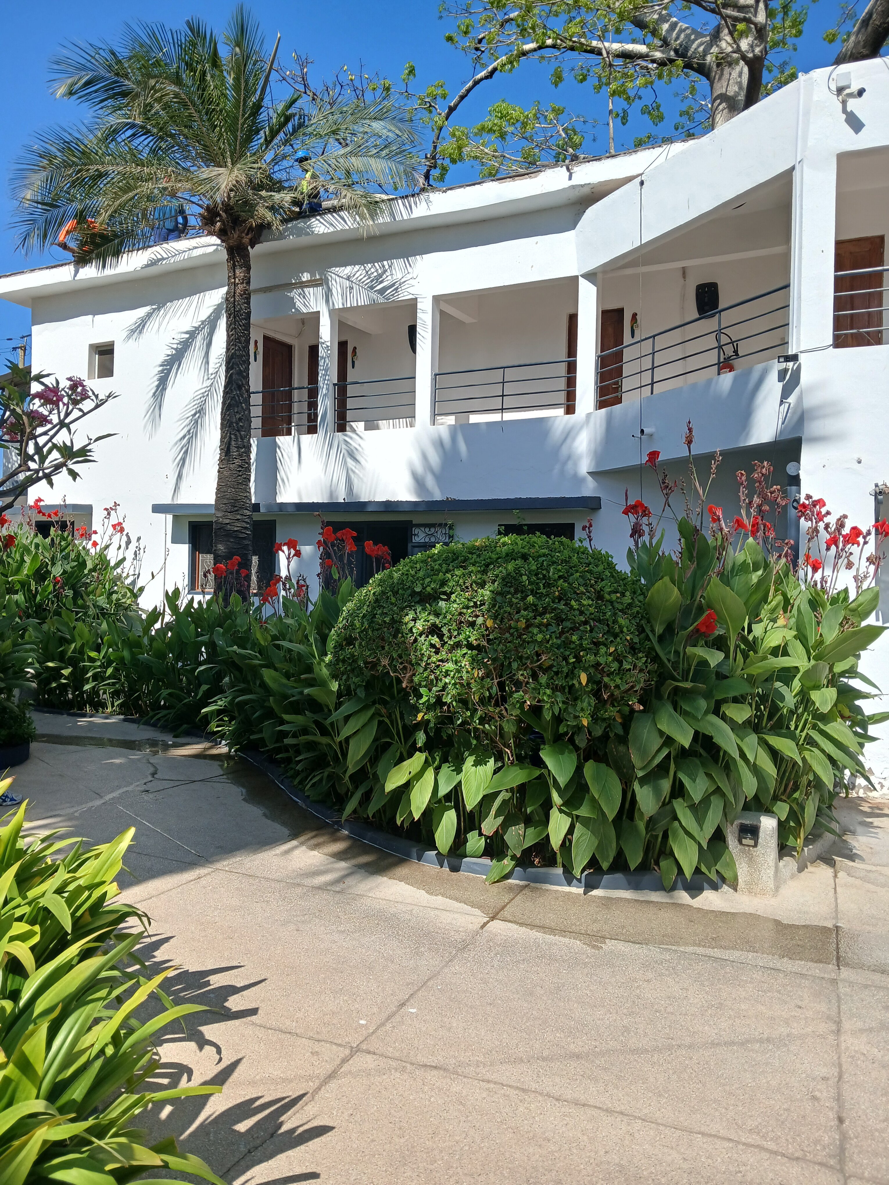Hôtel le Perroquet-度假村/酒店