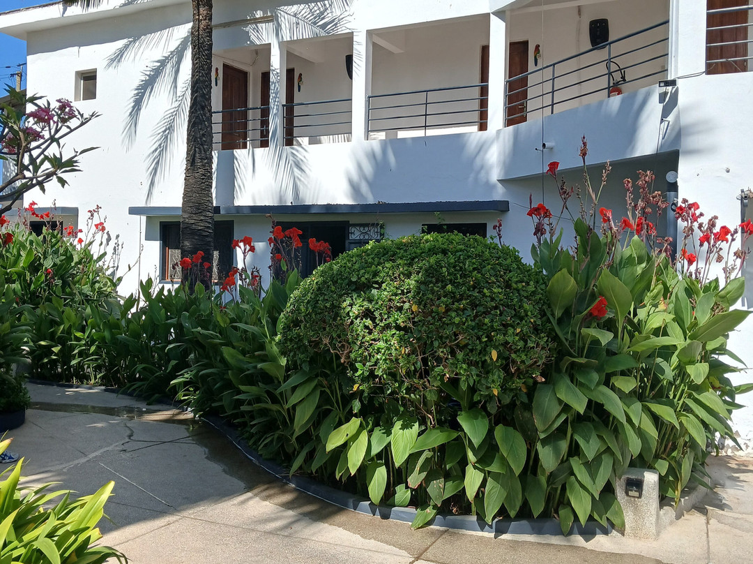 Hôtel le Perroquet主图