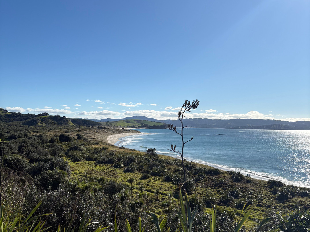 Tawharanui Regional Park-瓦卡沃夫必去景点