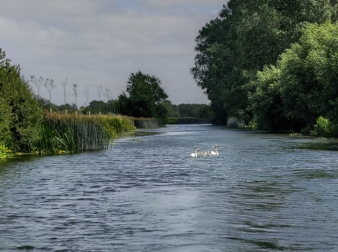 Cotswold Boat Hire Ltd-Buscot必去景点