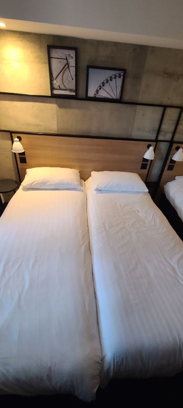宜必思科尔雷恩河畔酒店-旅行者