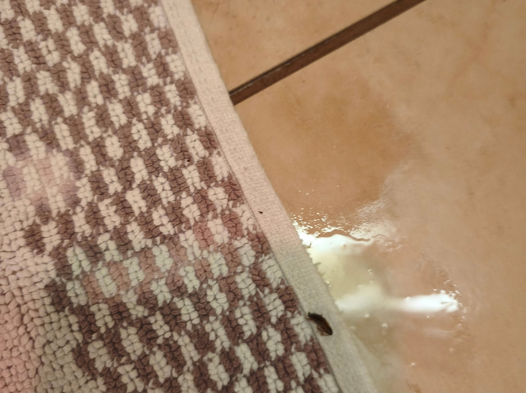 昆斯勒瑞欧蒂斯酒店主图