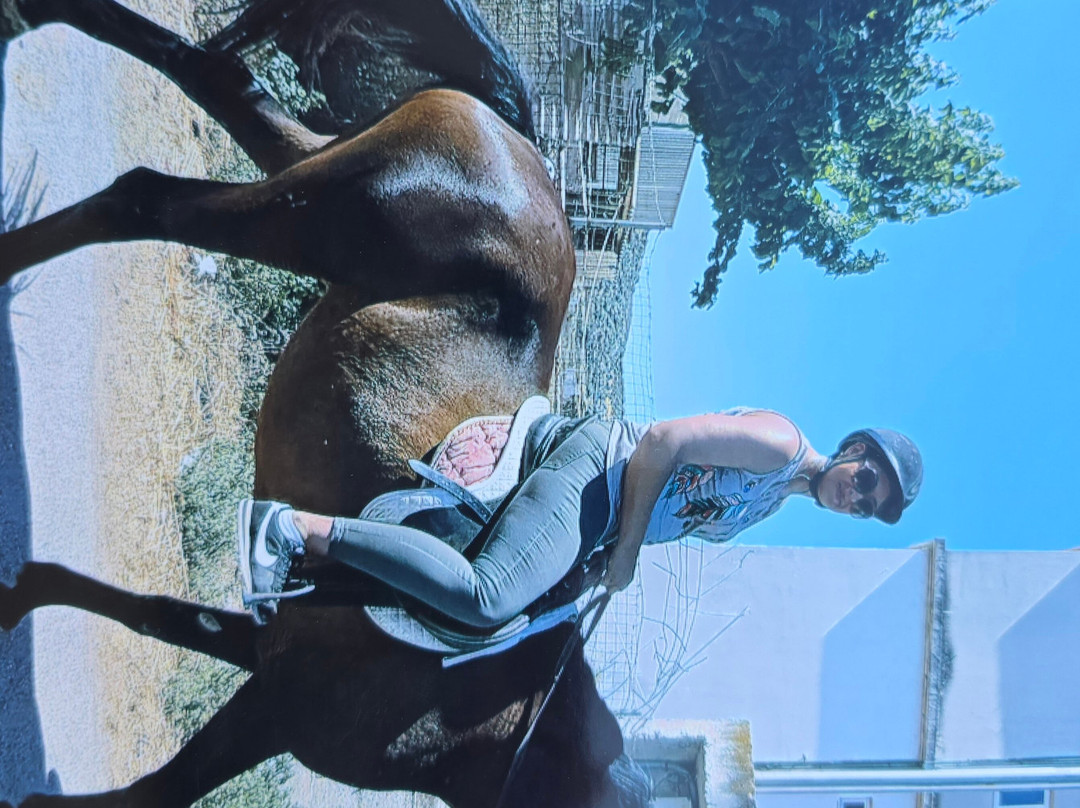 Finikia Horseriding-Finikia必去景点