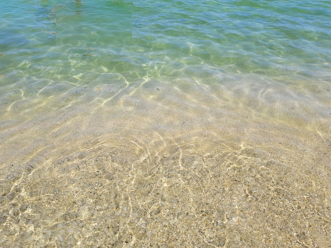 Stabilimento Balneare Il Delfino-Procchio必去景点
