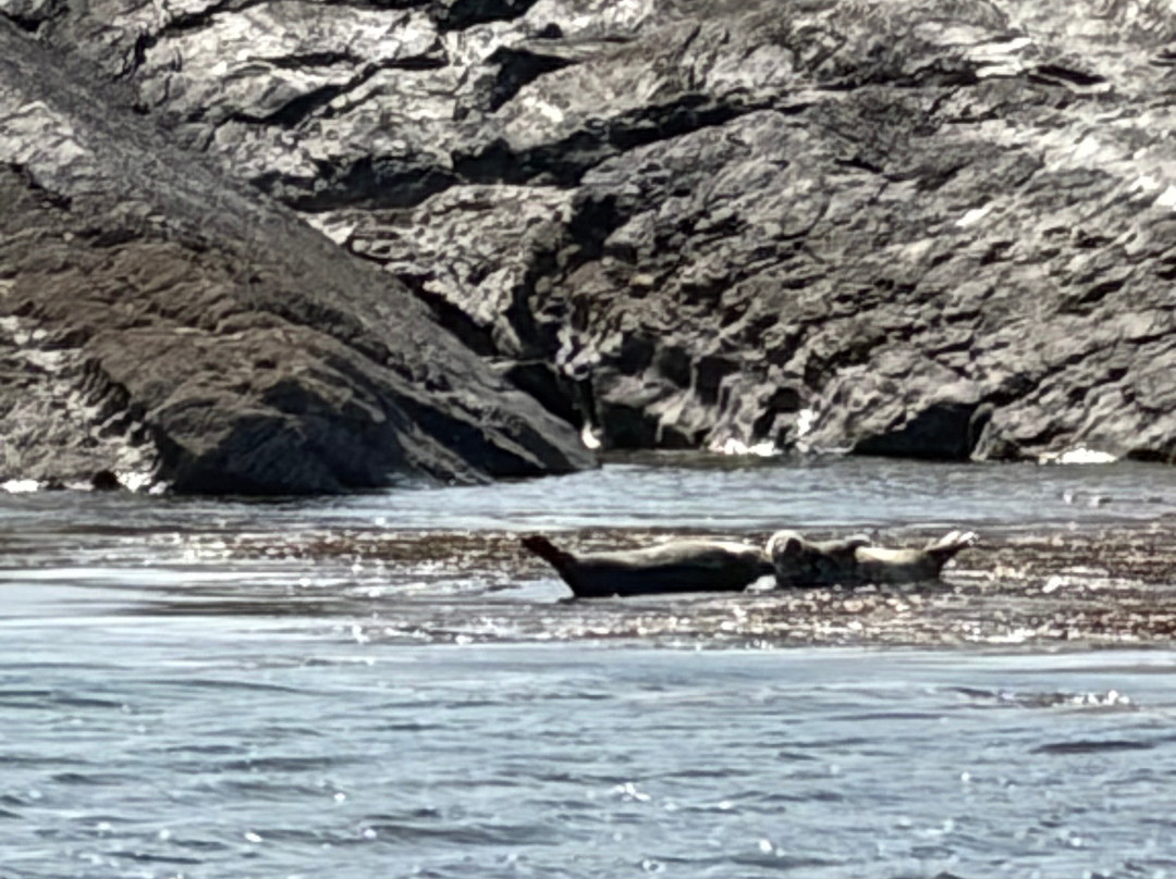 Skellig Michael Cruises-Portmagee必去景点