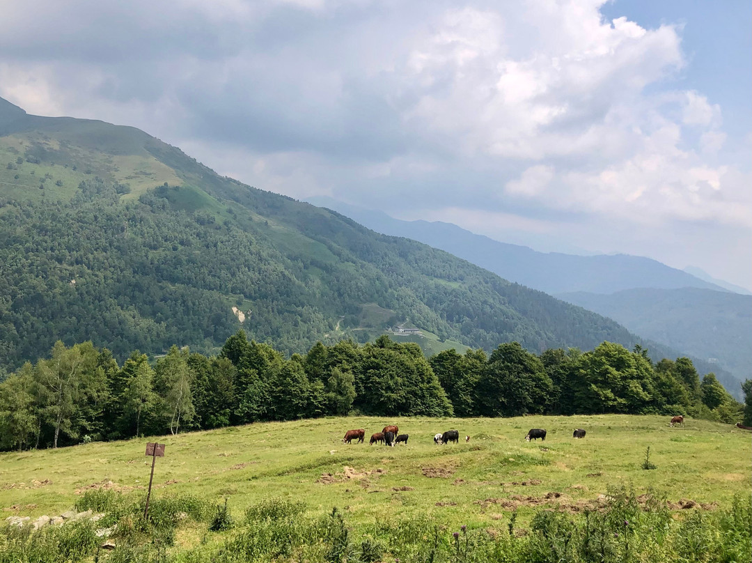 Agriturismo Alpe Montuccia