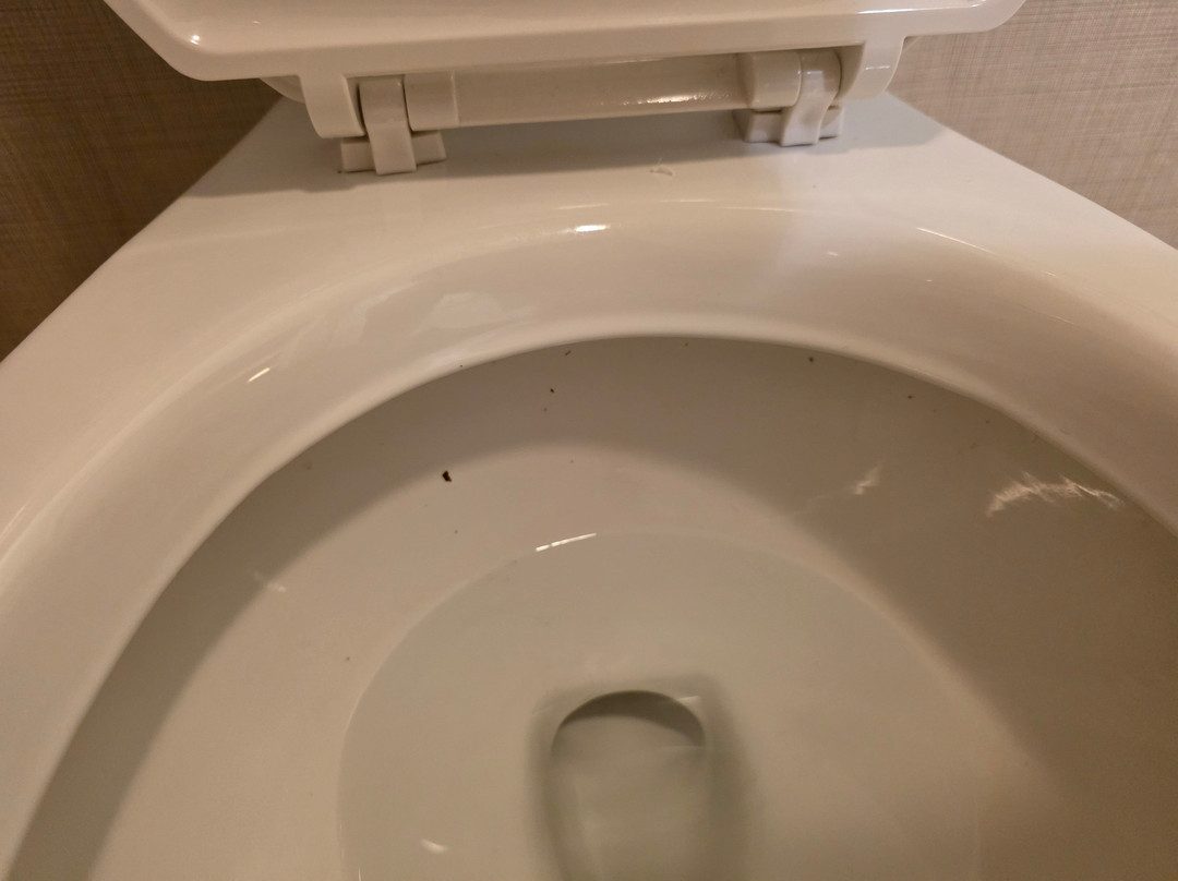 塔斯卡卢萨居家酒店主图