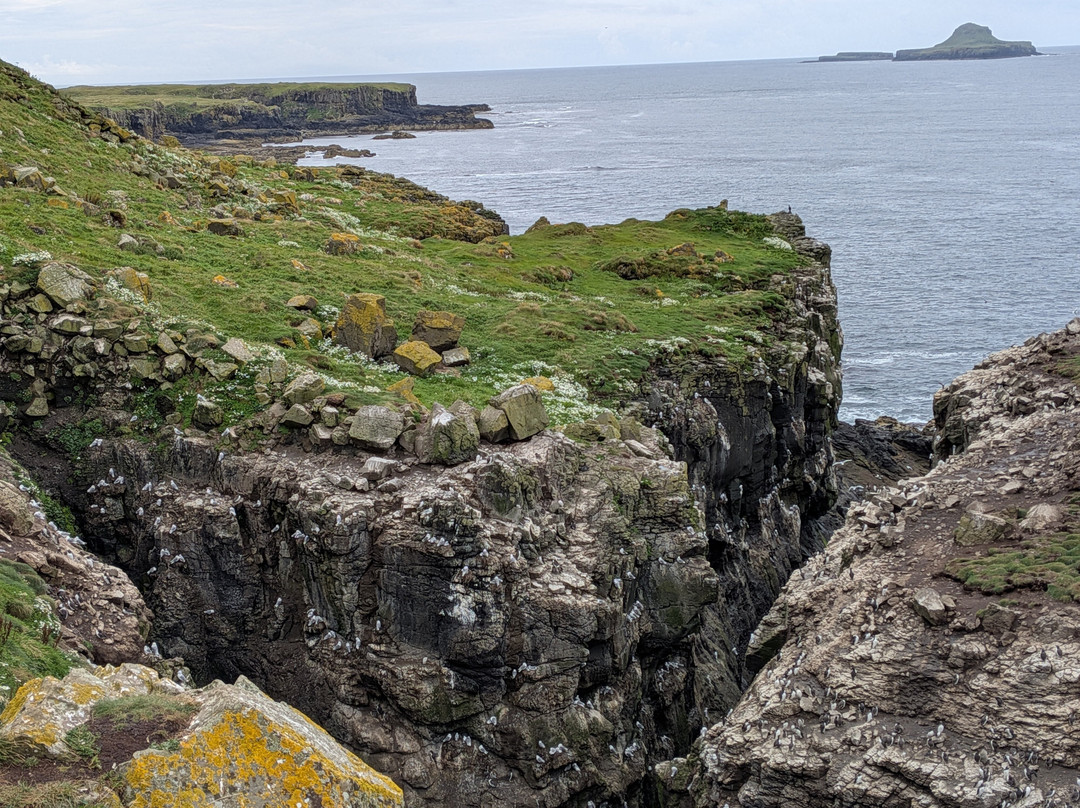 Mull Wildlife Breaks-Salen必去景点