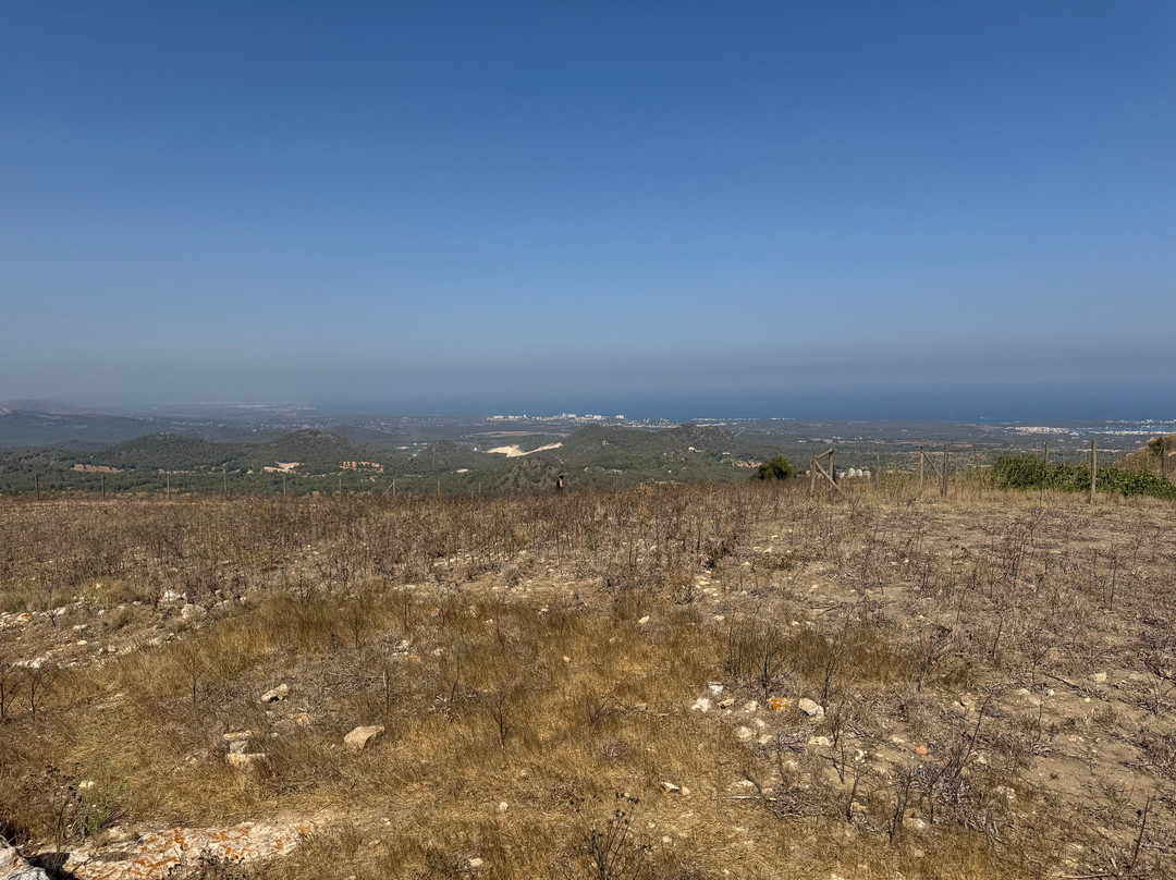Castell de Santueri-Felanitx必去景点