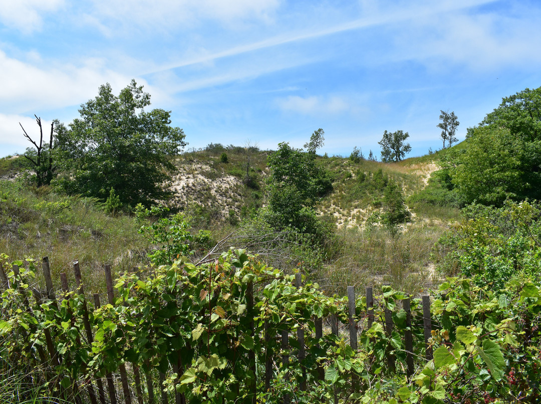 Indiana Dunes National Park-Porter必去景点