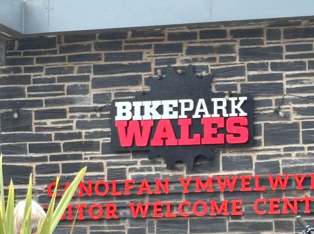 Bike Park Wales-梅瑟蒂德菲尔必去景点