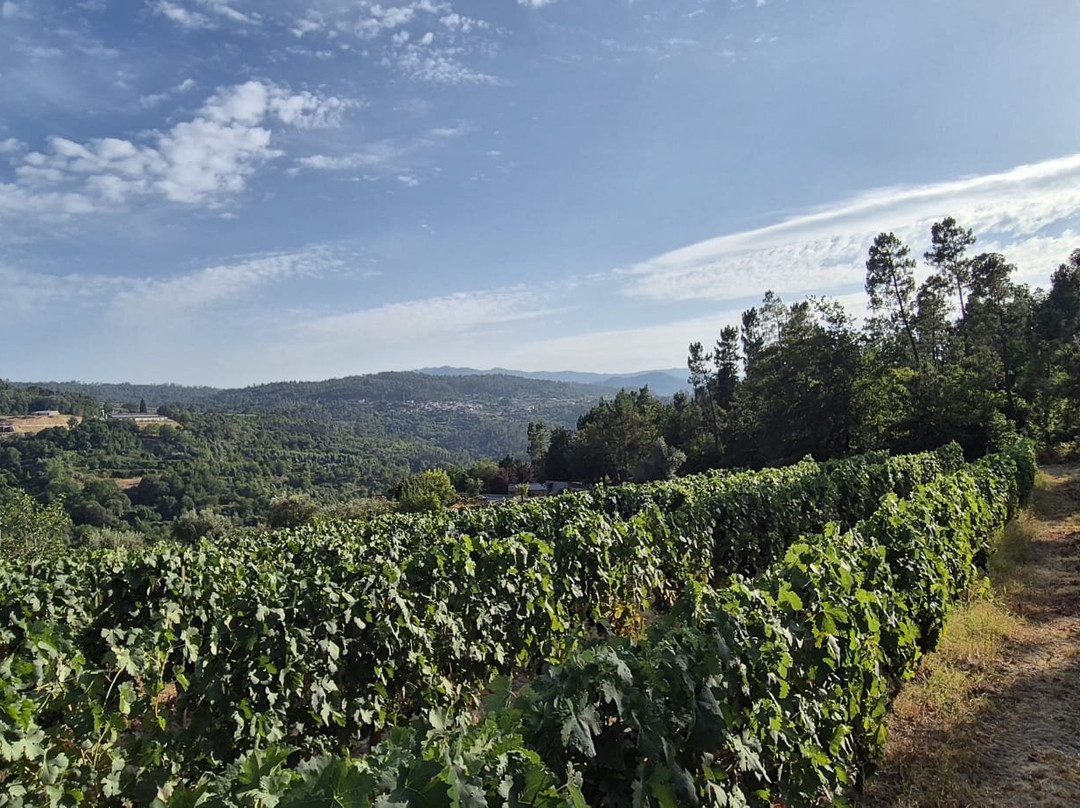 Quinta Do Gato Enoturismo-Sao Pedro do Sul必去景点