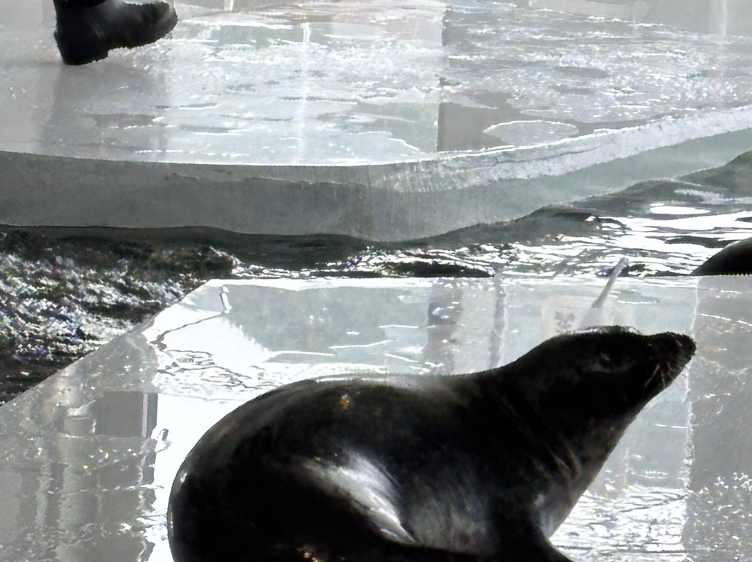 北极星水族馆-特罗姆瑟必去景点
