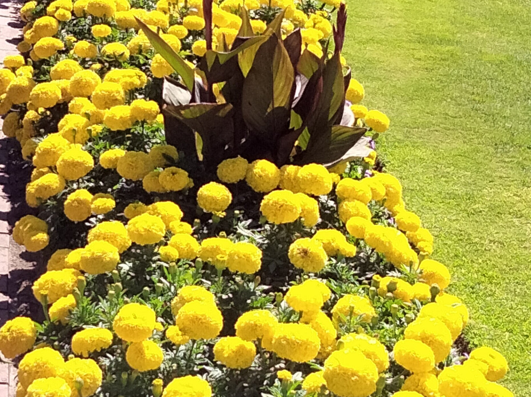 Sir Winston Churchill Memorial Park-圣布雷拉德必去景点