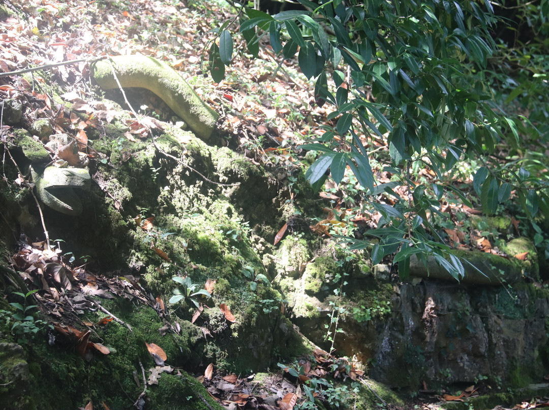 Jardin Botanico Atlantico-希洪必去景点
