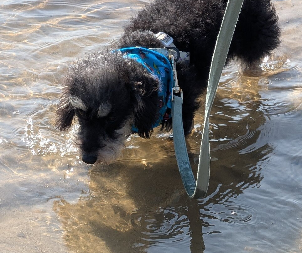 Saundersfoot Beach-桑德斯富特必去景点