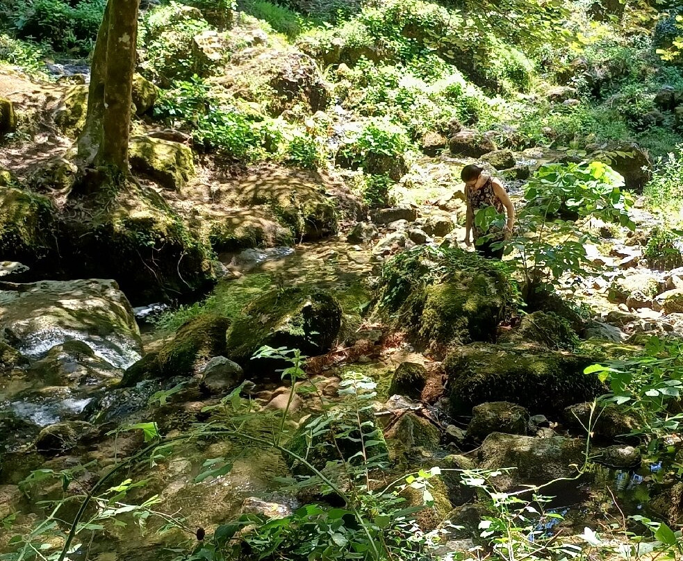 Cipresseta-Fontegreca必去景点
