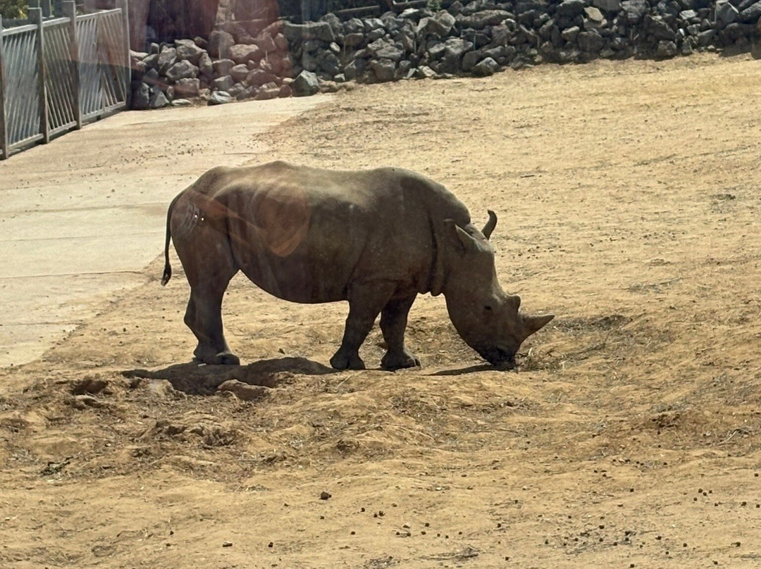 Colchester Zoo-科尔切斯特必去景点
