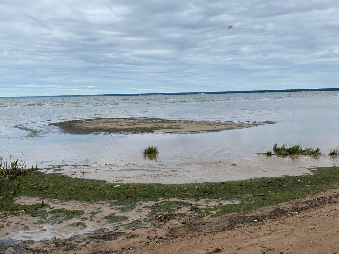 Dubkovskiy Beach-Sestroretsk必去景点