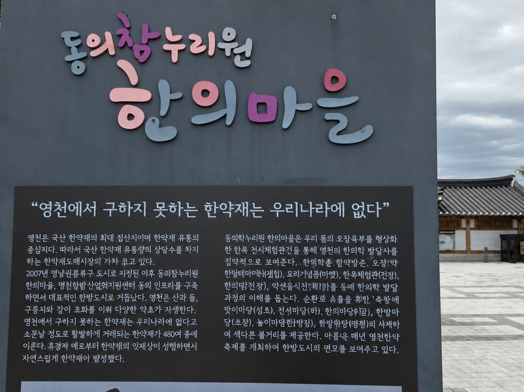Yeongcheon Oriental Medicine Village-永州市必去景点